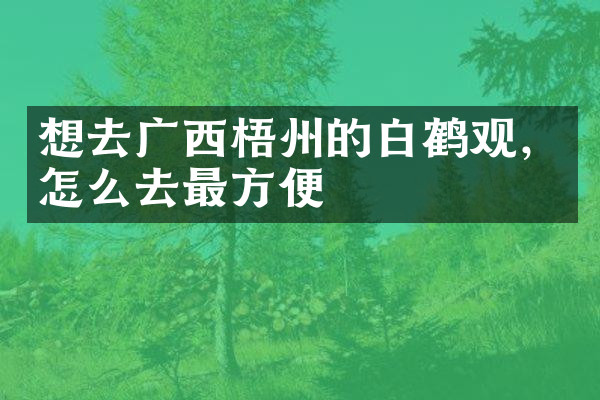 想去广西梧州的白鹤观，怎么去最方便