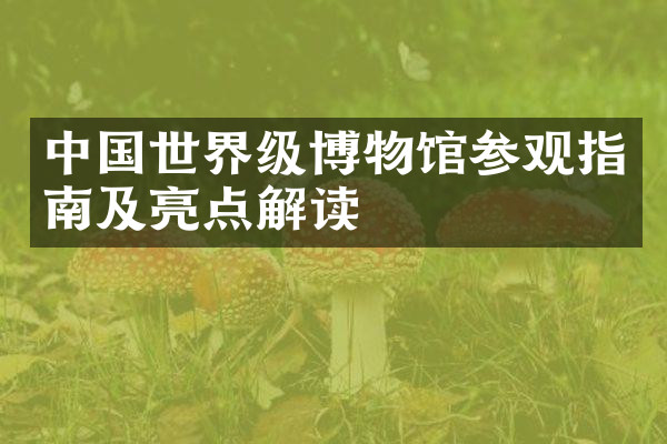 中国世界级博物馆参观指南及亮点解读