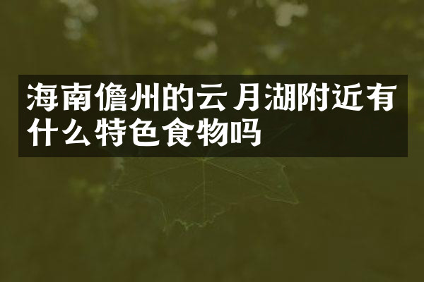 海南儋州的云月湖附近有什么特色食物吗