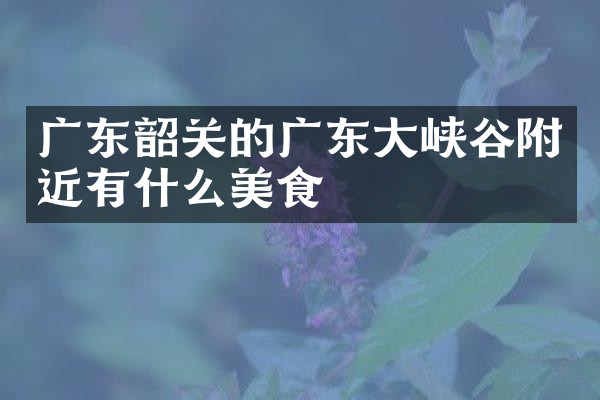 广东韶关的广东大峡谷附近有什么美食