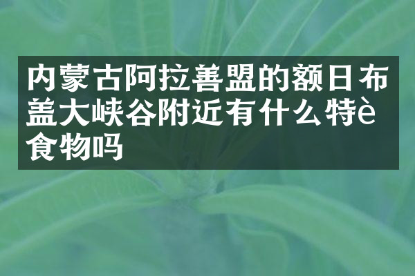 内蒙古阿拉善盟的额日布盖大峡谷附近有什么特色食物吗