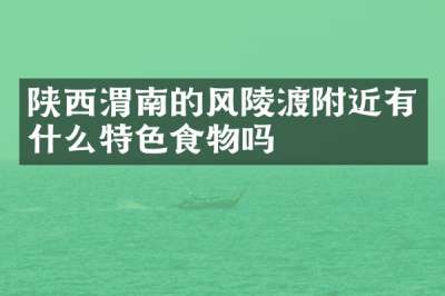 陕西渭南的风陵渡附近有什么特色食物吗