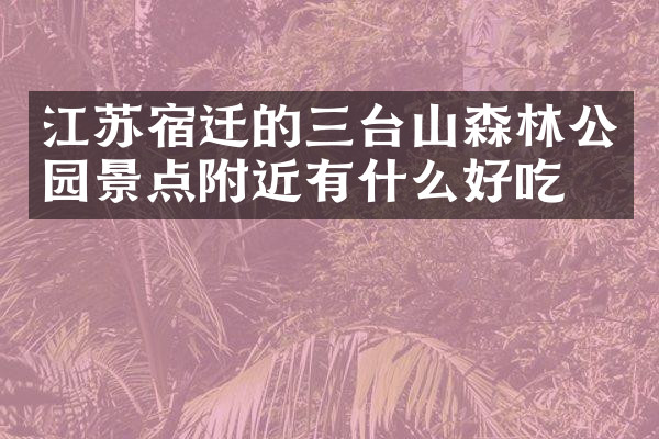 江苏宿迁的三台山森林公园景点附近有什么好吃的