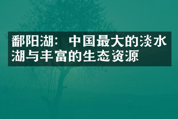 鄱阳湖：中国最大的淡水湖与丰富的生态资源