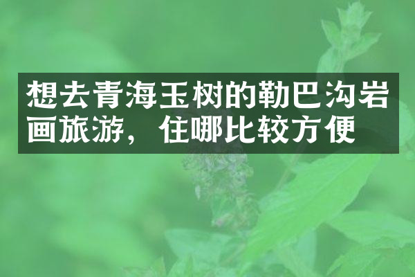 想去青海玉树的勒巴沟岩画旅游，住哪比较方便