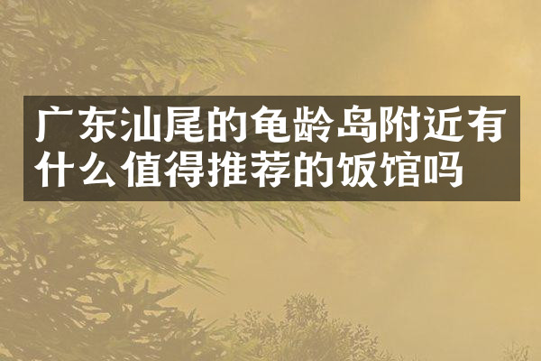 广东汕尾的龟龄岛附近有什么值得推荐的饭馆吗