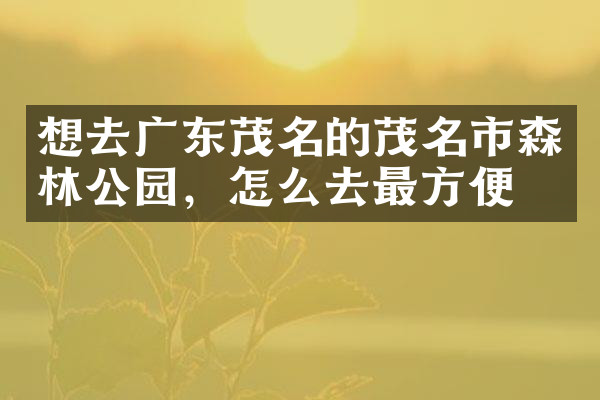 想去广东茂名的茂名市森林公园，怎么去最方便