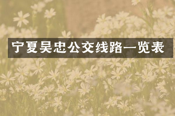 宁夏吴忠公交线路一览表
