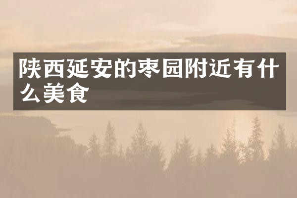 陕西延安的枣园附近有什么美食