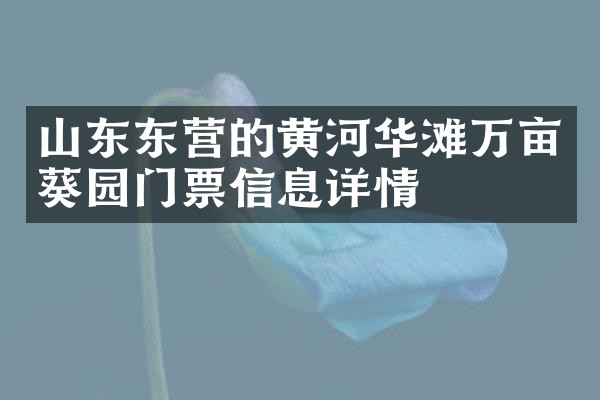 山东东营的黄河华滩万亩葵园门票信息详情