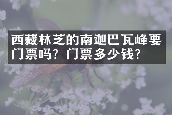 西藏林芝的南迦巴瓦峰要门票吗？门票多少钱？