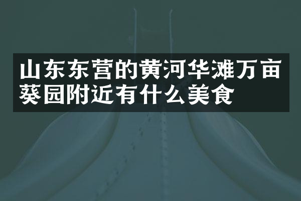 山东东营的黄河华滩万亩葵园附近有什么美食