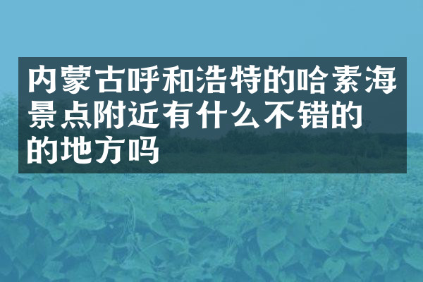 内蒙古呼和浩特的哈素海景点附近有什么不错的住的地方吗