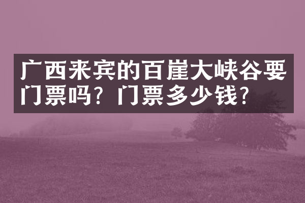 广西来宾的百崖大峡谷要门票吗？门票多少钱？