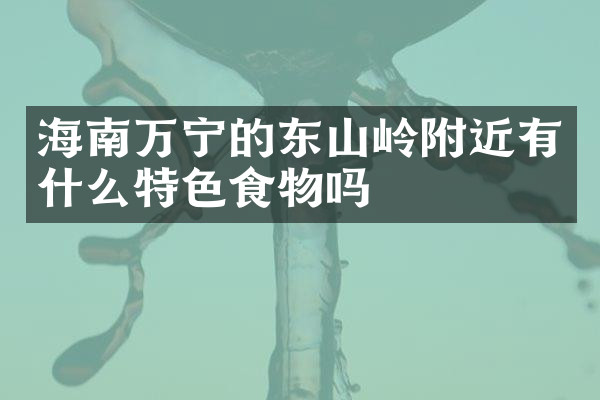 海南万宁的东山岭附近有什么特色食物吗