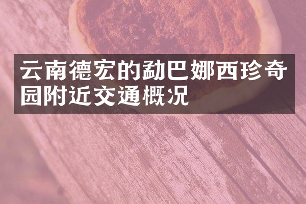 云南德宏的勐巴娜西珍奇园附近交通概况