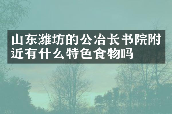 山东潍坊的公冶长书院附近有什么特色食物吗