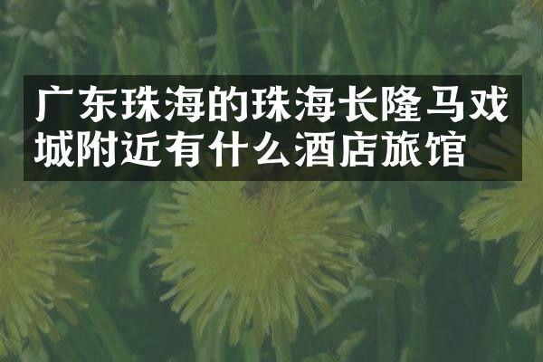 广东珠海的珠海长隆马戏城附近有什么酒店旅馆吗