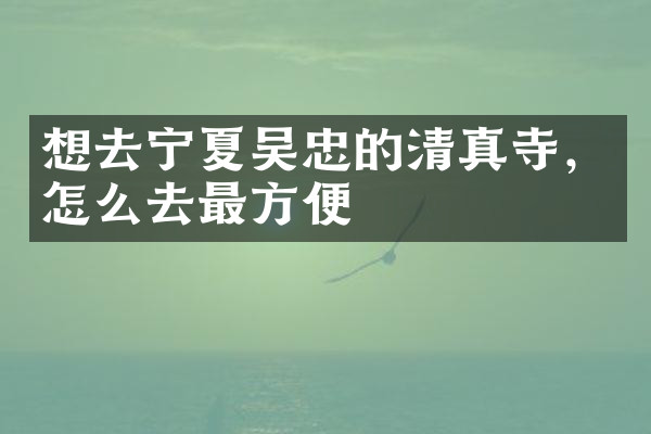 想去宁夏吴忠的清真寺，怎么去最方便