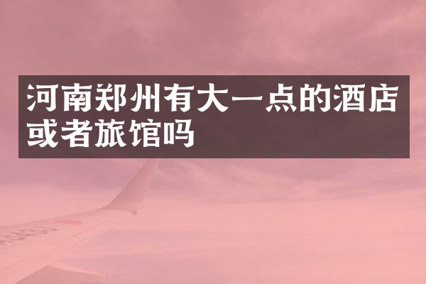 河南郑州有大一点的酒店或者旅馆吗