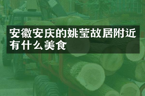 安徽安庆的姚莹故居附近有什么美食
