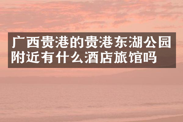 广西贵港的贵港东湖公园附近有什么酒店旅馆吗