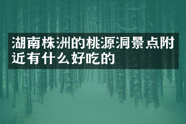 湖南株洲的桃源洞景点附近有什么好吃的