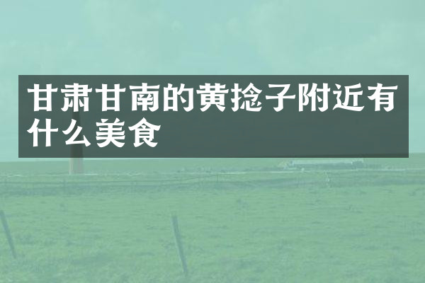 甘肃甘南的黄捻子附近有什么美食