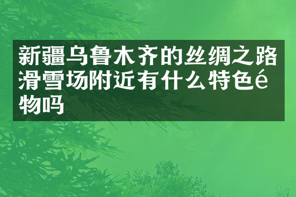 新疆乌鲁木齐的丝绸之路滑雪场附近有什么特色食物吗
