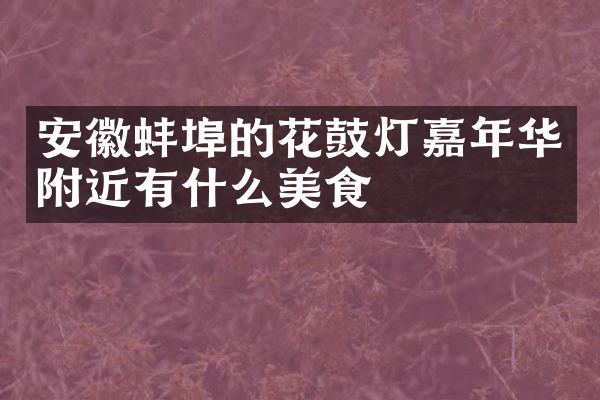 安徽蚌埠的花鼓灯嘉年华附近有什么美食