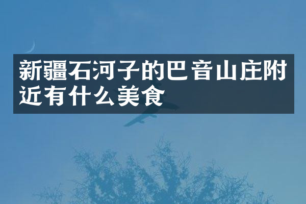 新疆石河子的巴音山庄附近有什么美食
