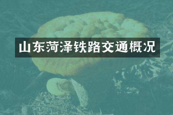 山东菏泽铁路交通概况