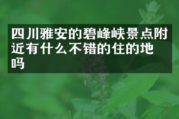 四川雅安的碧峰峡景点附近有什么不错的住的地方吗