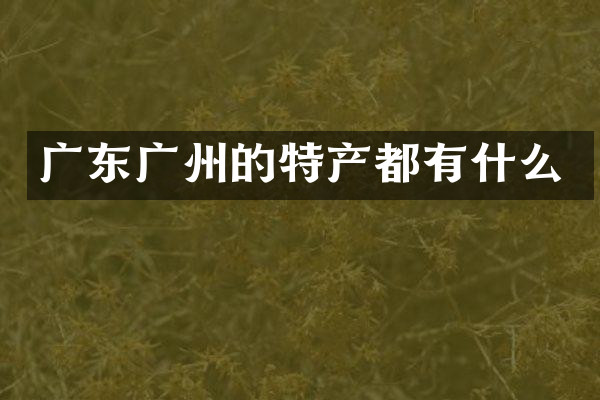 广东广州的特产都有什么