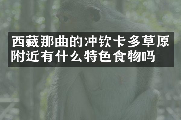 西藏那曲的冲钦卡多草原附近有什么特色食物吗