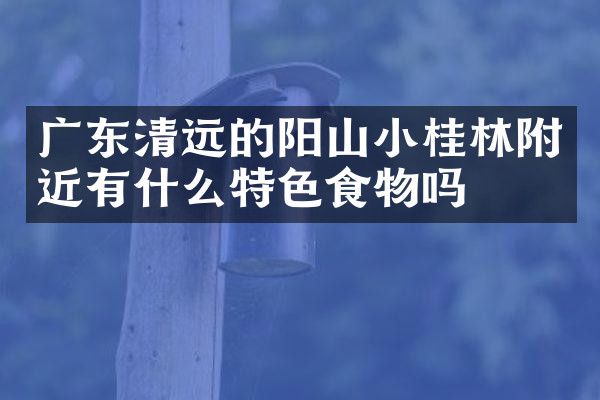广东清远的阳山小桂林附近有什么特色食物吗
