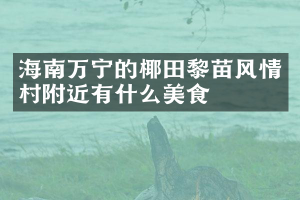海南万宁的椰田黎苗风情村附近有什么美食
