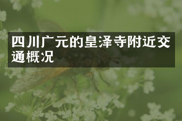 四川广元的皇泽寺附近交通概况