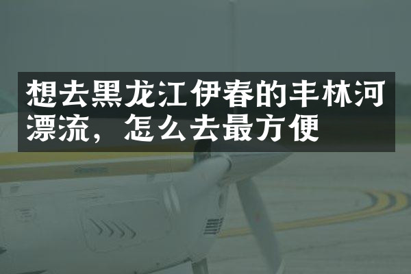 想去黑龙江伊春的丰林河漂流，怎么去最方便
