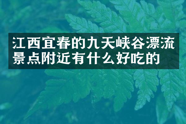 江西宜春的九天峡谷漂流景点附近有什么好吃的