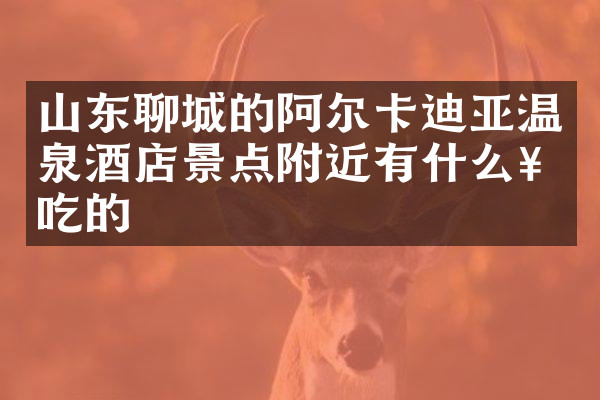 山东聊城的阿尔卡迪亚温泉酒店景点附近有什么好吃的