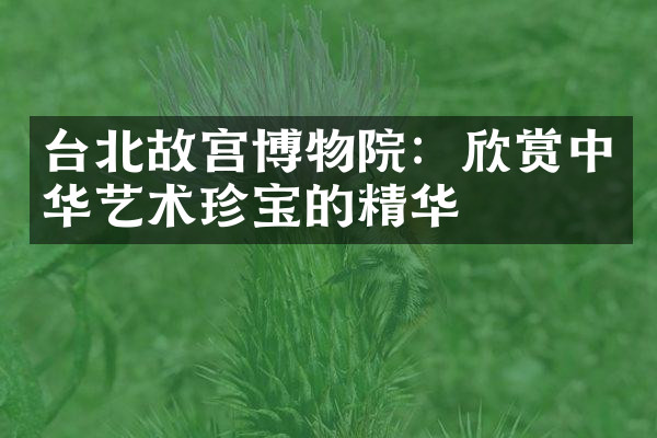 台北故宫博物院：欣赏中华艺术珍宝的精华