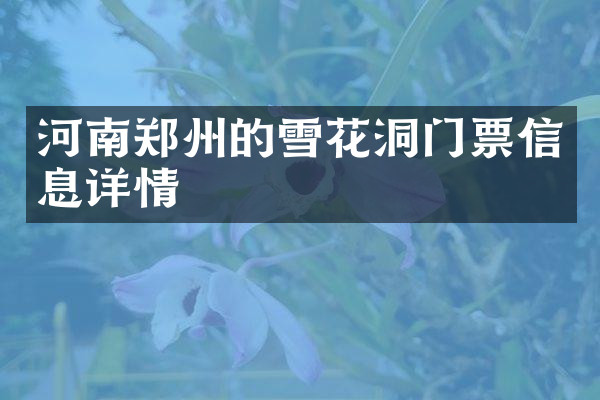 河南郑州的雪花洞门票信息详情