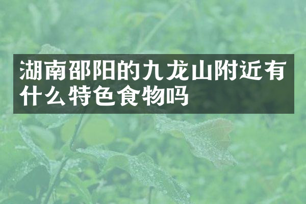 湖南邵阳的九龙山附近有什么特色食物吗