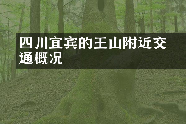 四川宜宾的僰王山附近交通概况