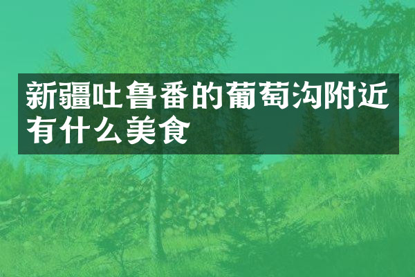 新疆吐鲁番的葡萄沟附近有什么美食