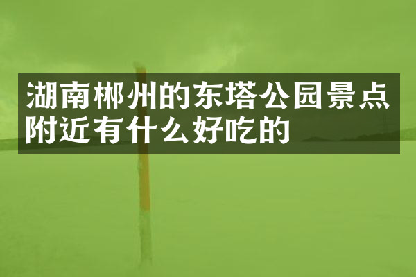 湖南郴州的东塔公园景点附近有什么好吃的