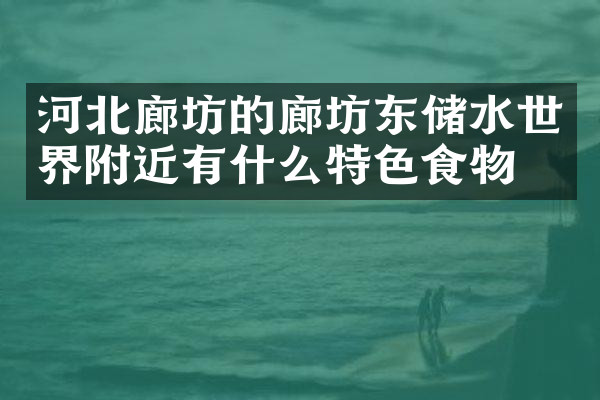 河北廊坊的廊坊东储水世界附近有什么特色食物吗