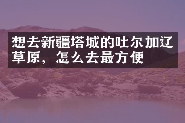 想去新疆塔城的吐尔加辽草原，怎么去最方便