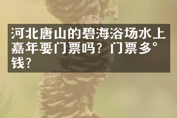 河北唐山的碧海浴场水上嘉年要门票吗？门票多少钱？
